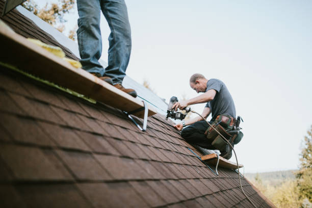 Best Roof Restoration Services  in Concord, MI